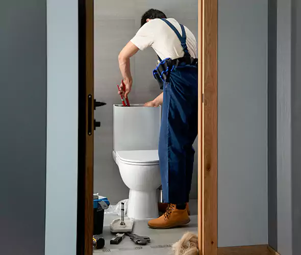 Professional Plumbers for Toilet Bowl Replacement in Fishers, IN: Schedule Affordable Toilet Replacement Services With Us