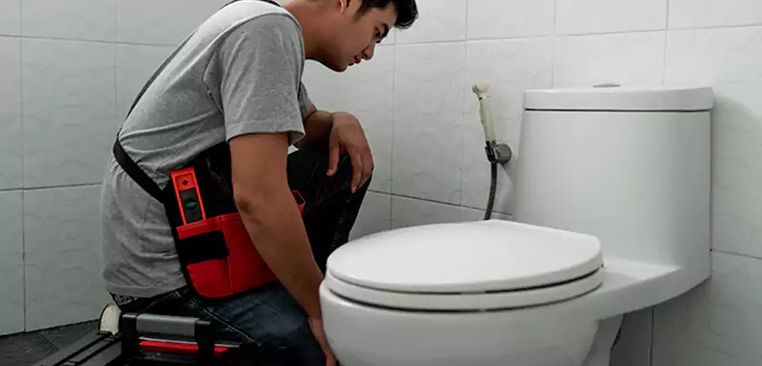 Toilet Repair in Fishers