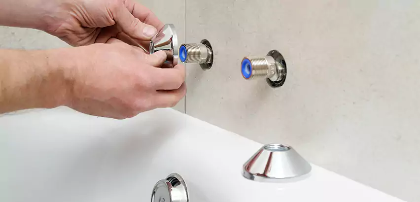 Bathtub Faucet Diverter Replacement in Fishers