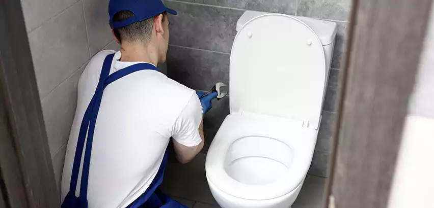 Toilet Lid Replacement in Fishers