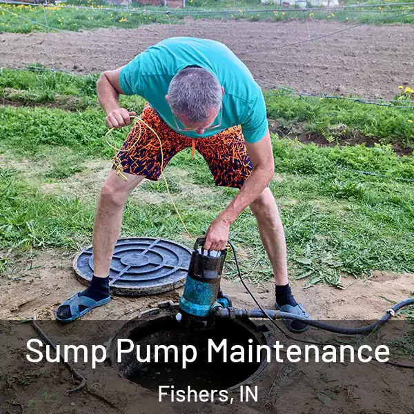  Sump Pump Maintenance Fishers, IN
